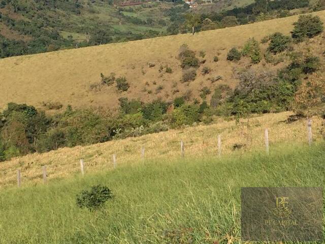 #FZ16 - Fazenda para Venda em Tapiratiba - SP