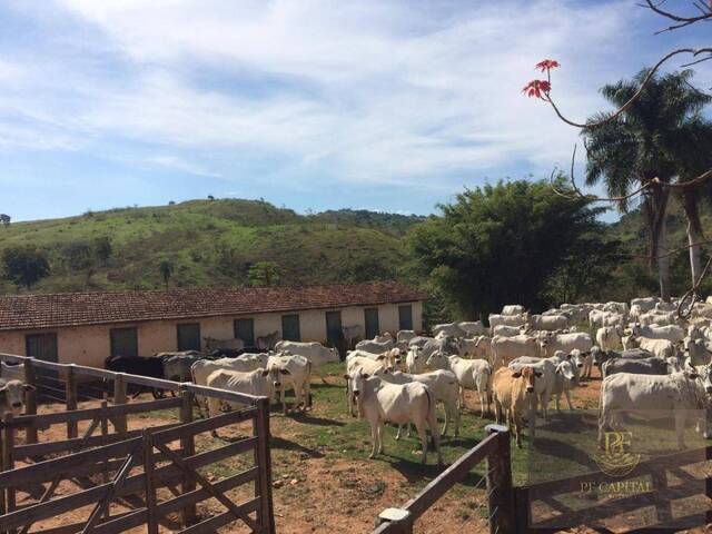 Fazenda para Venda em Tapiratiba - 5