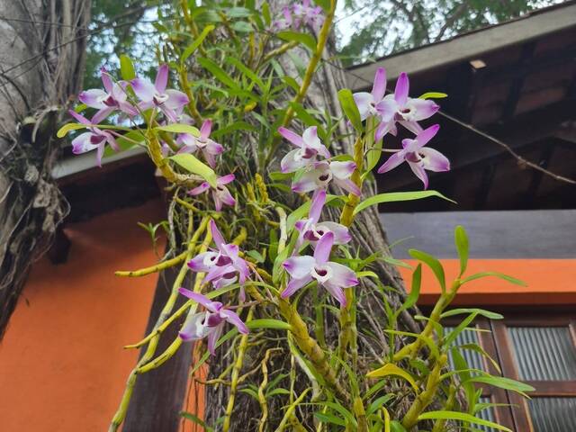 #PS18 - Pousada para Venda em Ubatuba - SP