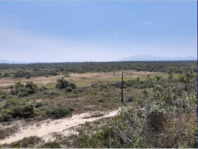 Área para Incorporação para Venda em Cananéia - 5