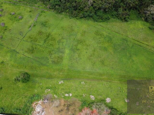 Área para Incorporação para Venda em Ubatuba - 4