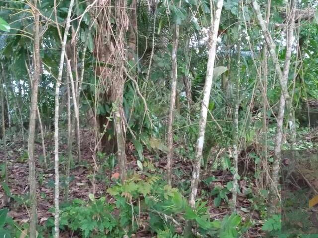 #41 - Terreno para Venda em Ubatuba - SP