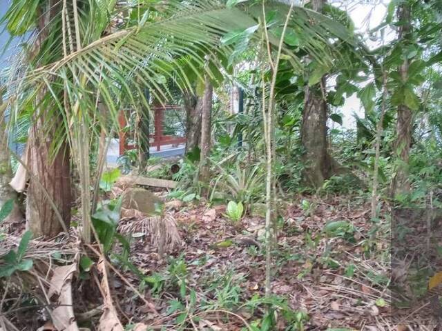 Terreno para Venda em Ubatuba - 4