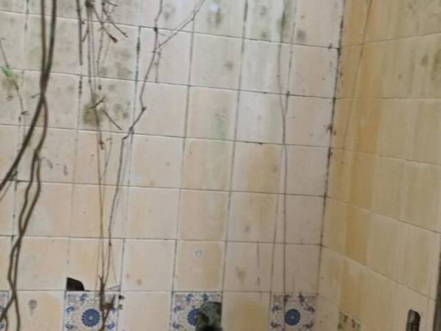 Terreno para Venda em Ubatuba - 5