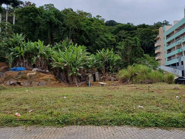 #55 - Área para Incorporação para Venda em Ubatuba - SP - 2